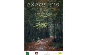 "Temps de pastel": exposició de pintures de Ramon Abad