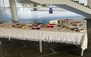 Llibres verges
