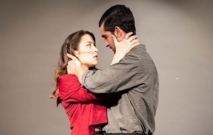 Anatomia d'un desig