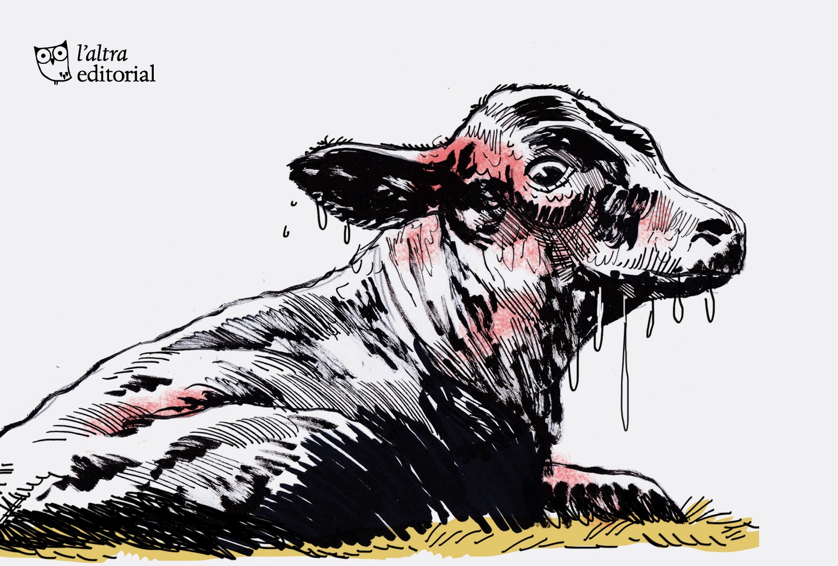 Distòcia, de Pilar Codony