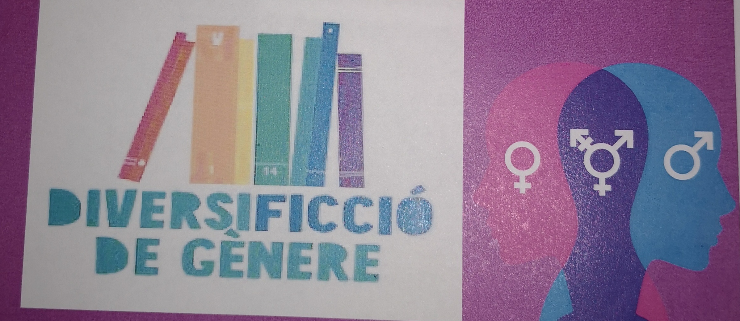 LABORATORI DE LECTURA DIVERSIFICCIÓ