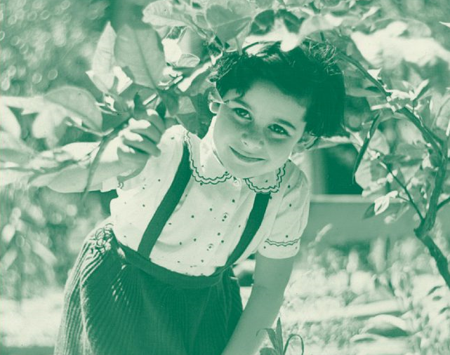 Unas gotas de aceite, de Simonetta Agnello Hornby