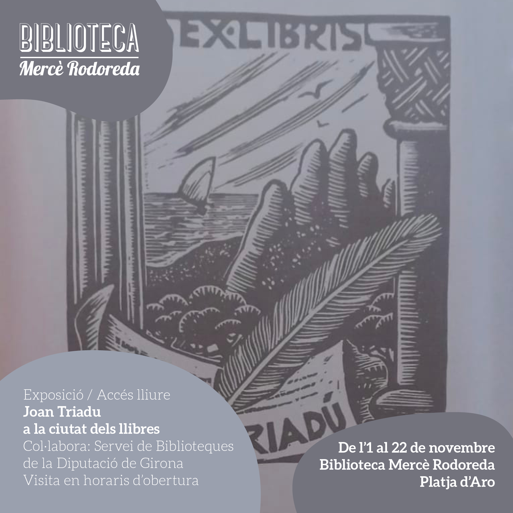 Joan Triadu a la ciutat dels llibres