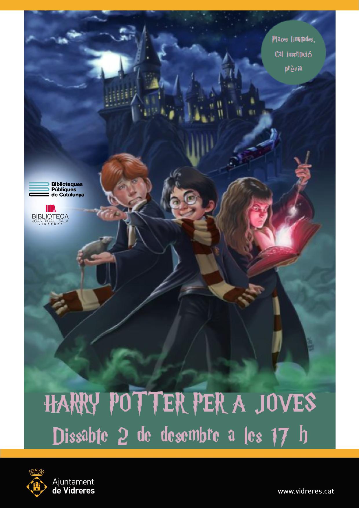 Harry Potter per a joves