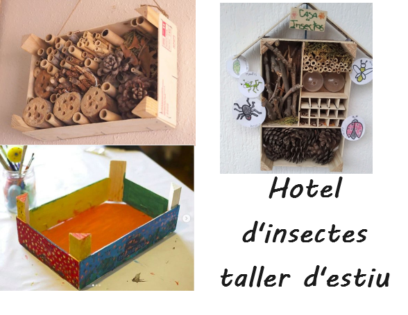 Taller d'estiu: Farem un hotel d'insectes. Dinamització a càrrec de Cris Espinosa de Clika y Regala. Per a infants entre 4 i 12 anys