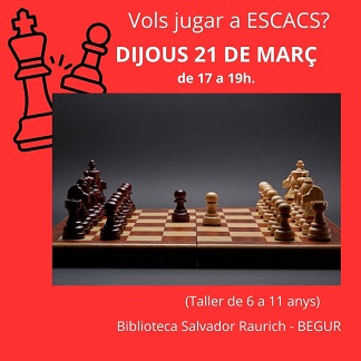 Taller d'escacs 