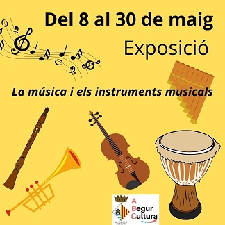 La música i els instruments musicals