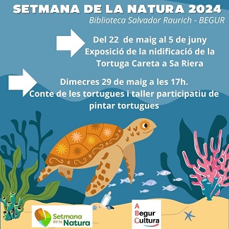 El conte de la tortuga