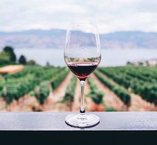 Vins de l'Empordà