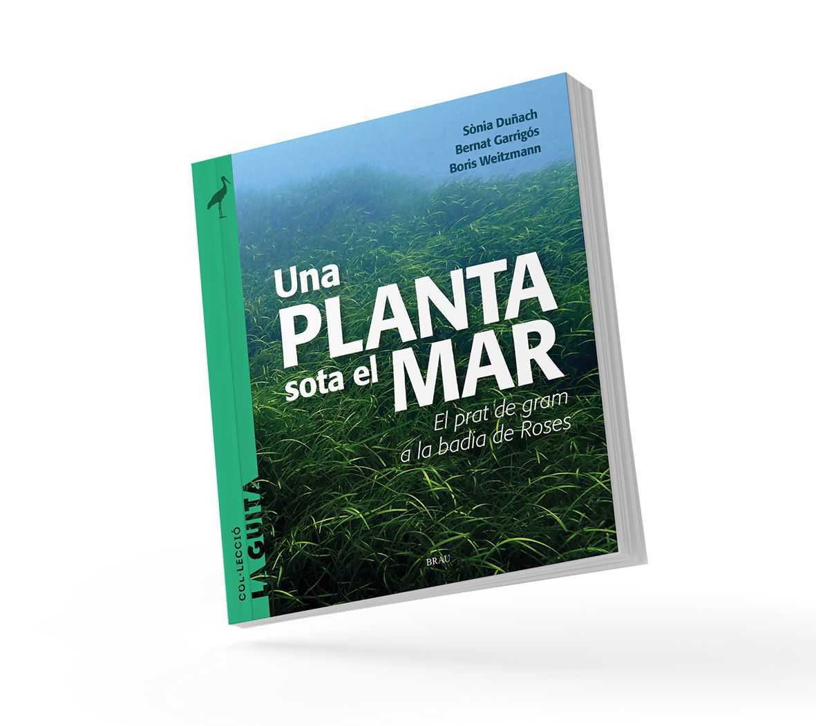 Una Planta sota el mar