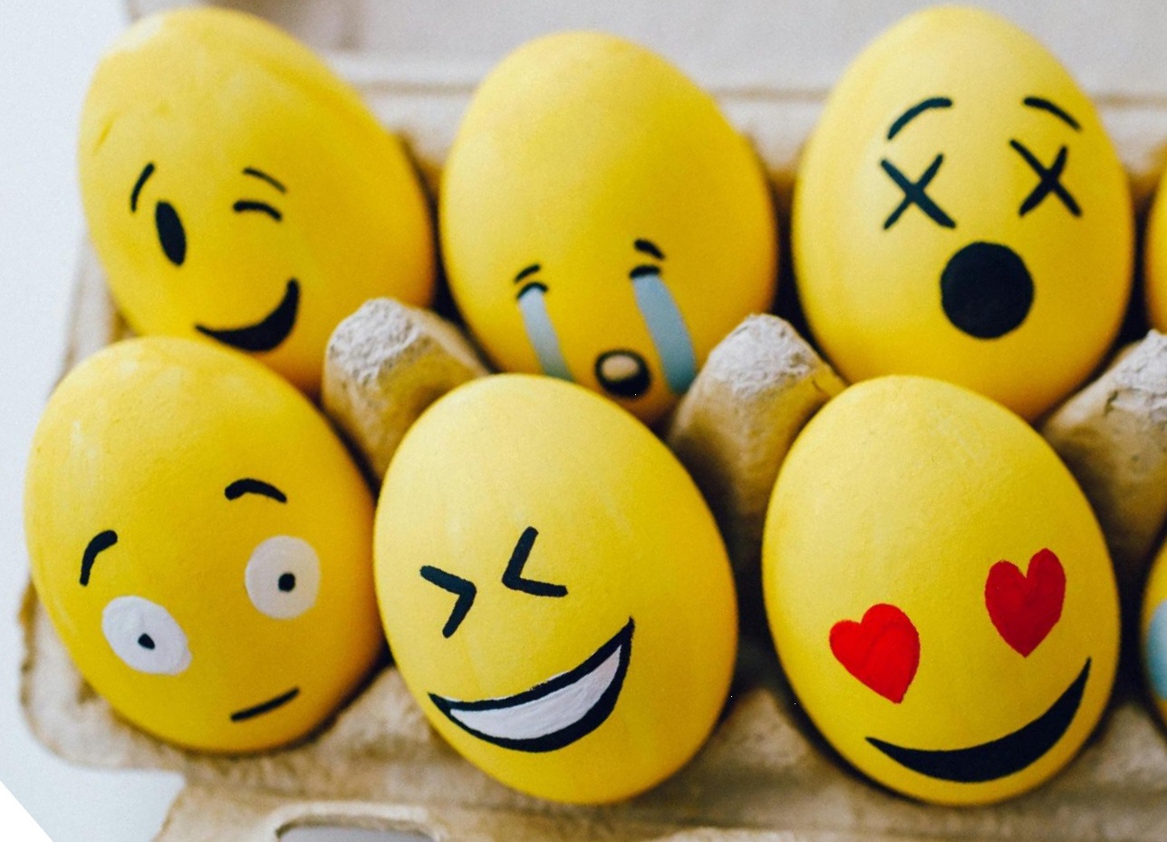 Neurociència i gestió de les emocions
