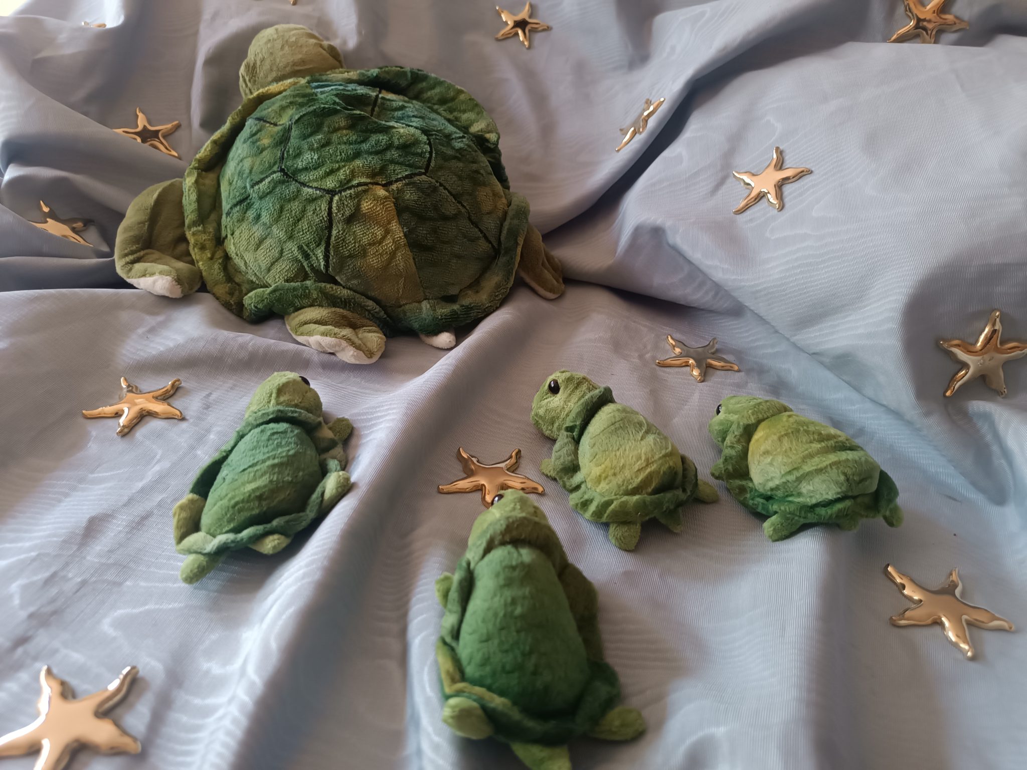 Tortugues i estrelles