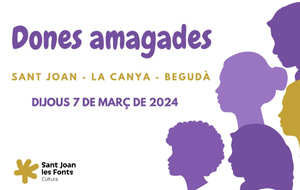 Dones amagades
