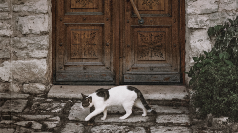 La porta, de Magda Szabó