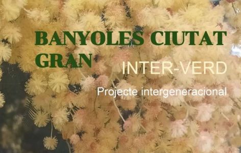 Inter-Verd Projecte intergeneracional