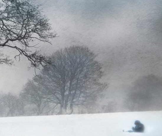 Ethan frome, d'Edith Wharton