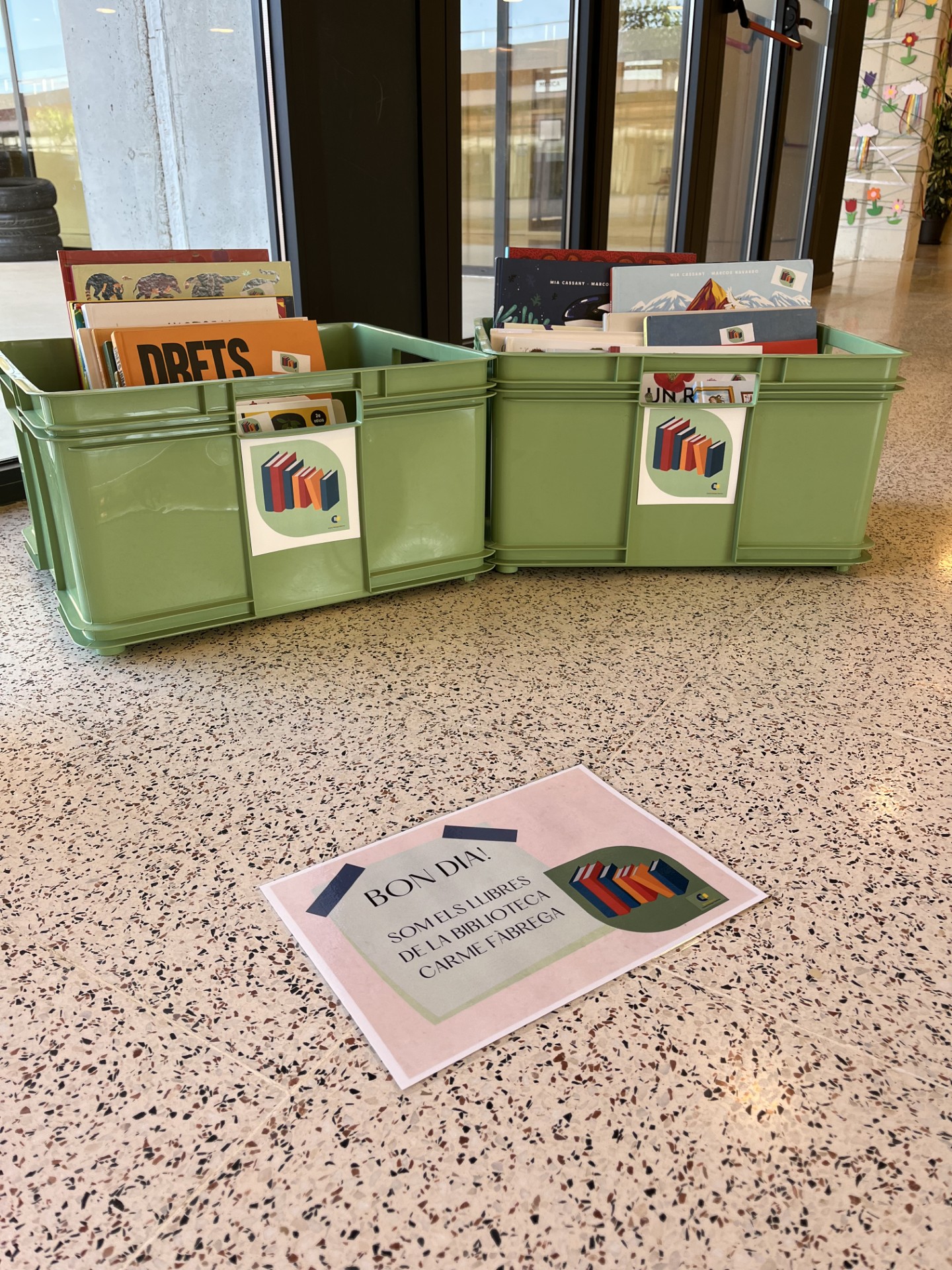 Lot de llibres informatius per la biblioteca de l'Escola Madrenc