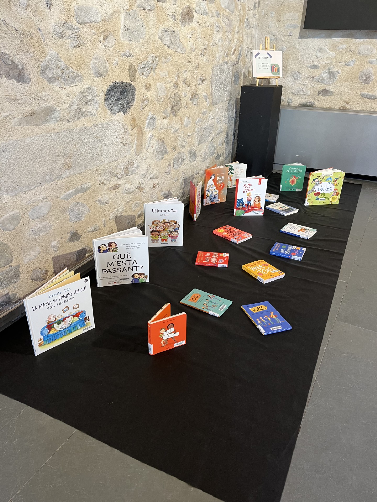 Lot de llibres informatius per Can Gruart