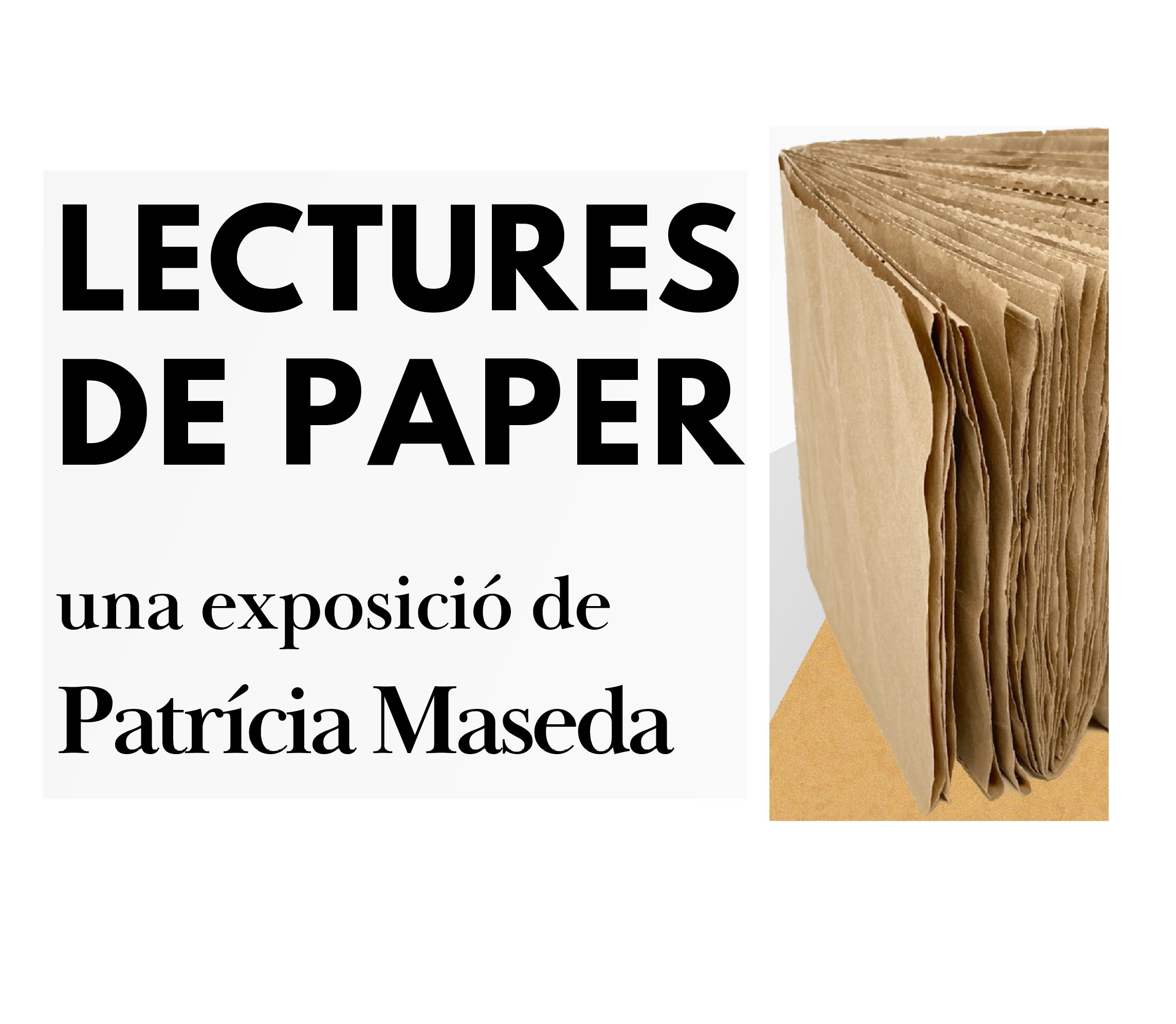 Visita explicativa a l'exposició "Lectures de paper"