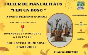 Fem un bosc amb elements de la natura