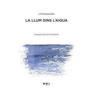 Veus i mots entre línies