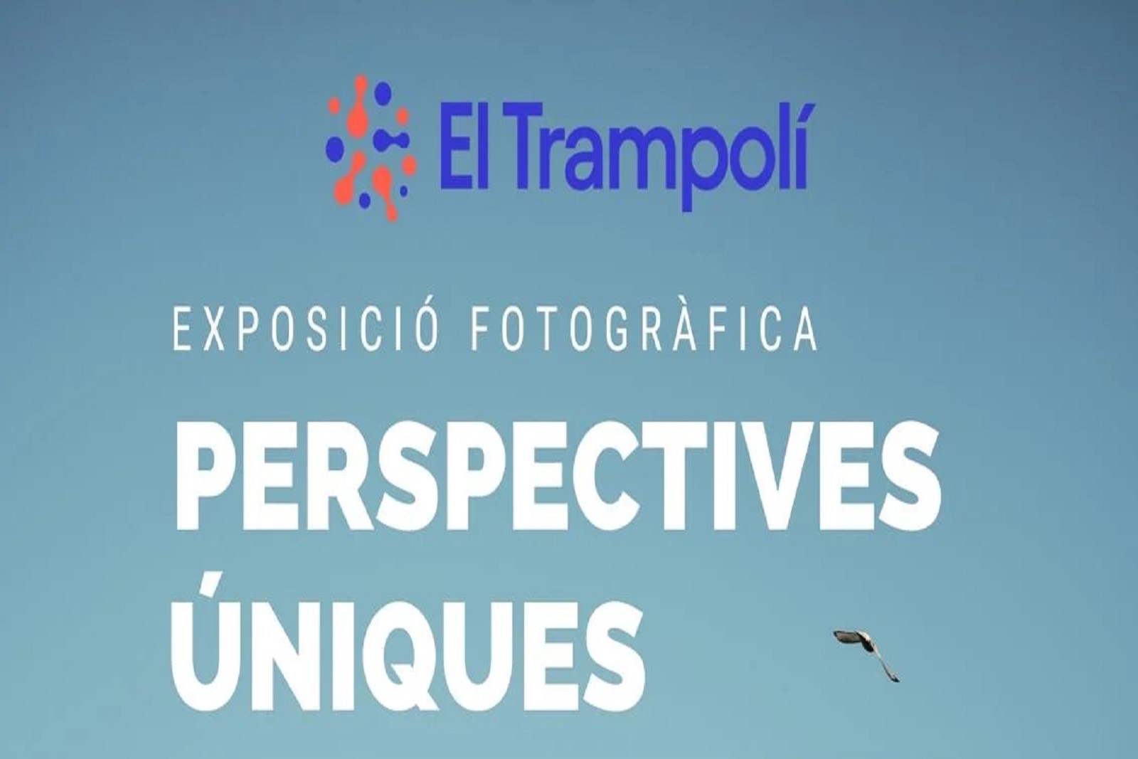 Perspectives úniques