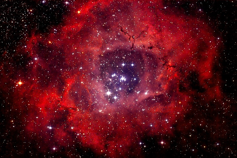 Un passeig per les estrelles