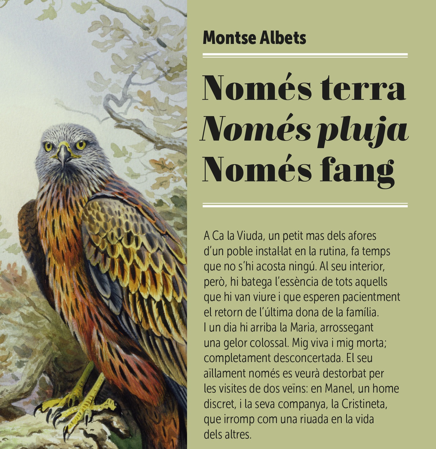 Només terra, només pluja, només fang, de Montse Albets