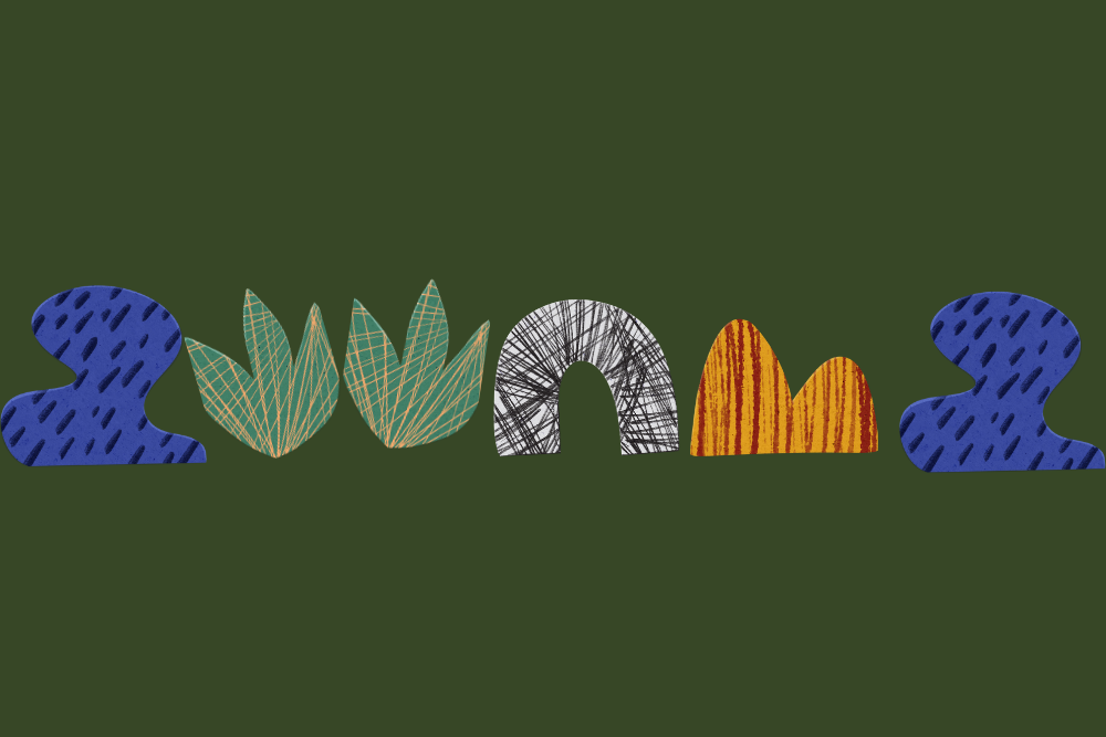 Explica'm una selva