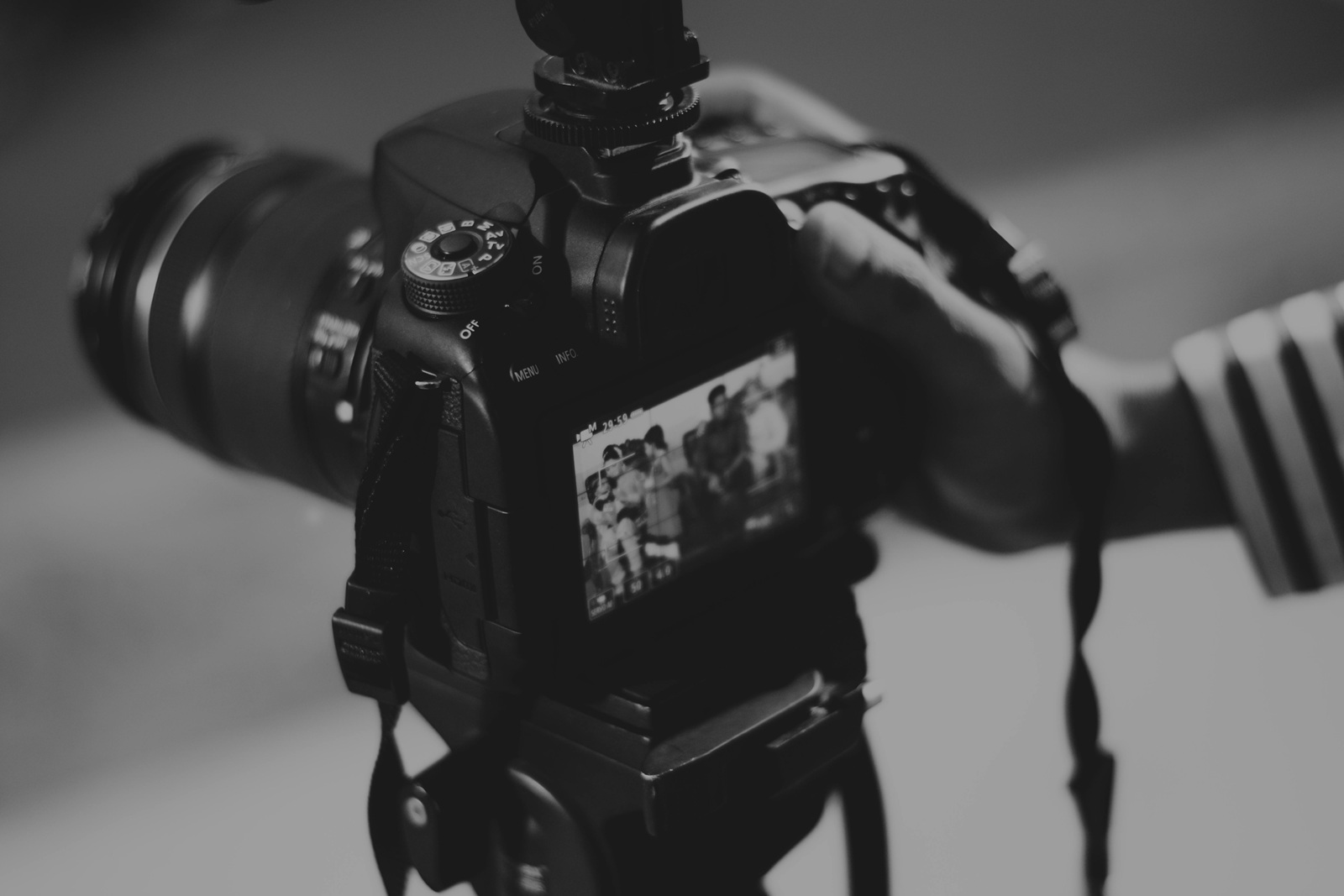 Cicle BiblioLAB de 12 tutories en fotografia