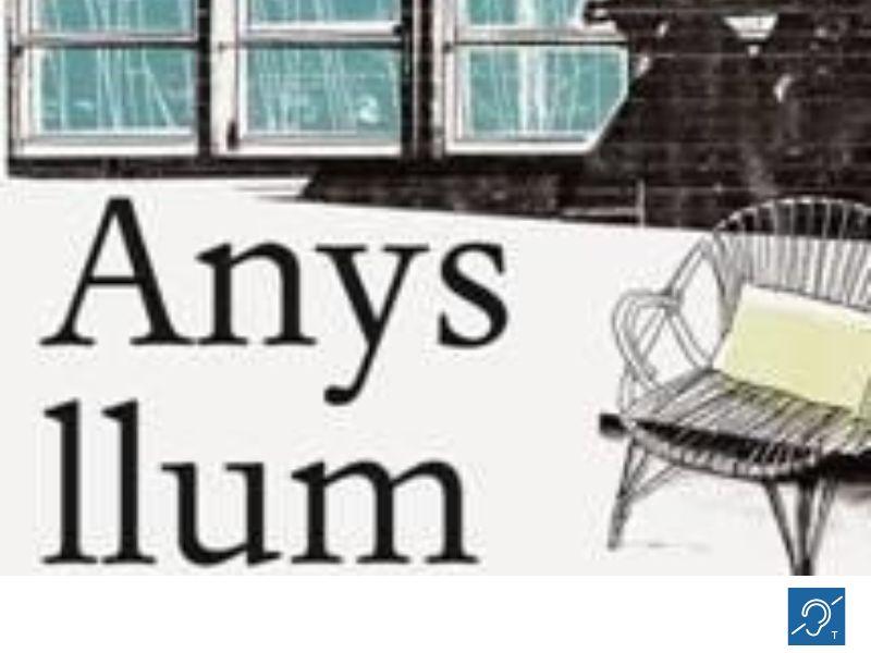 Anys llum, de James Salter