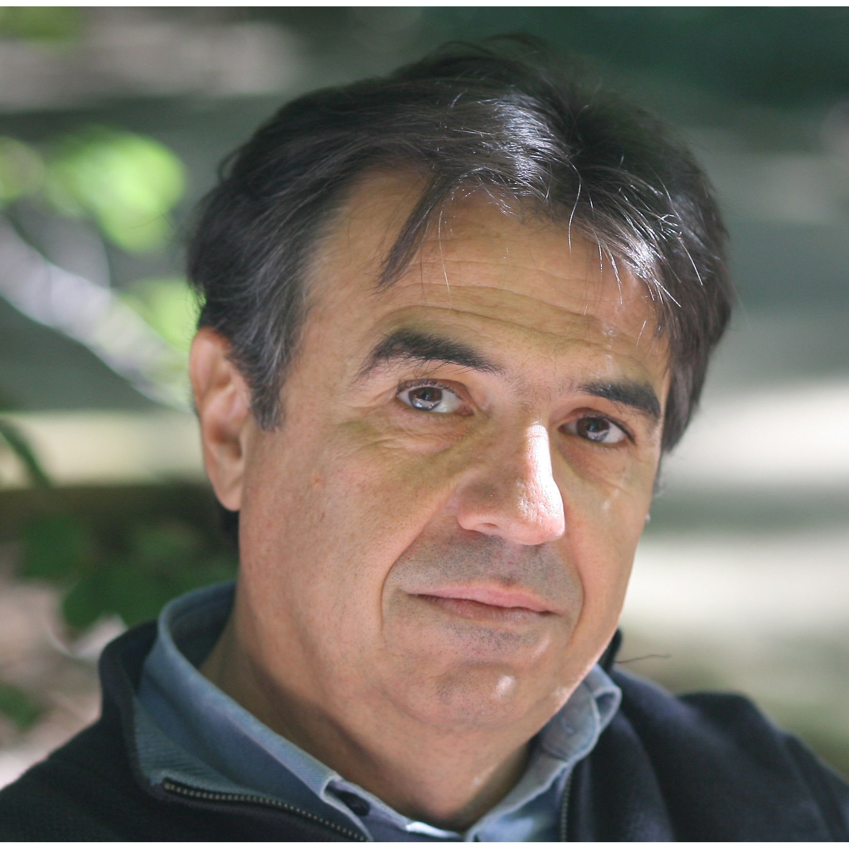 Martí  Domínguez
