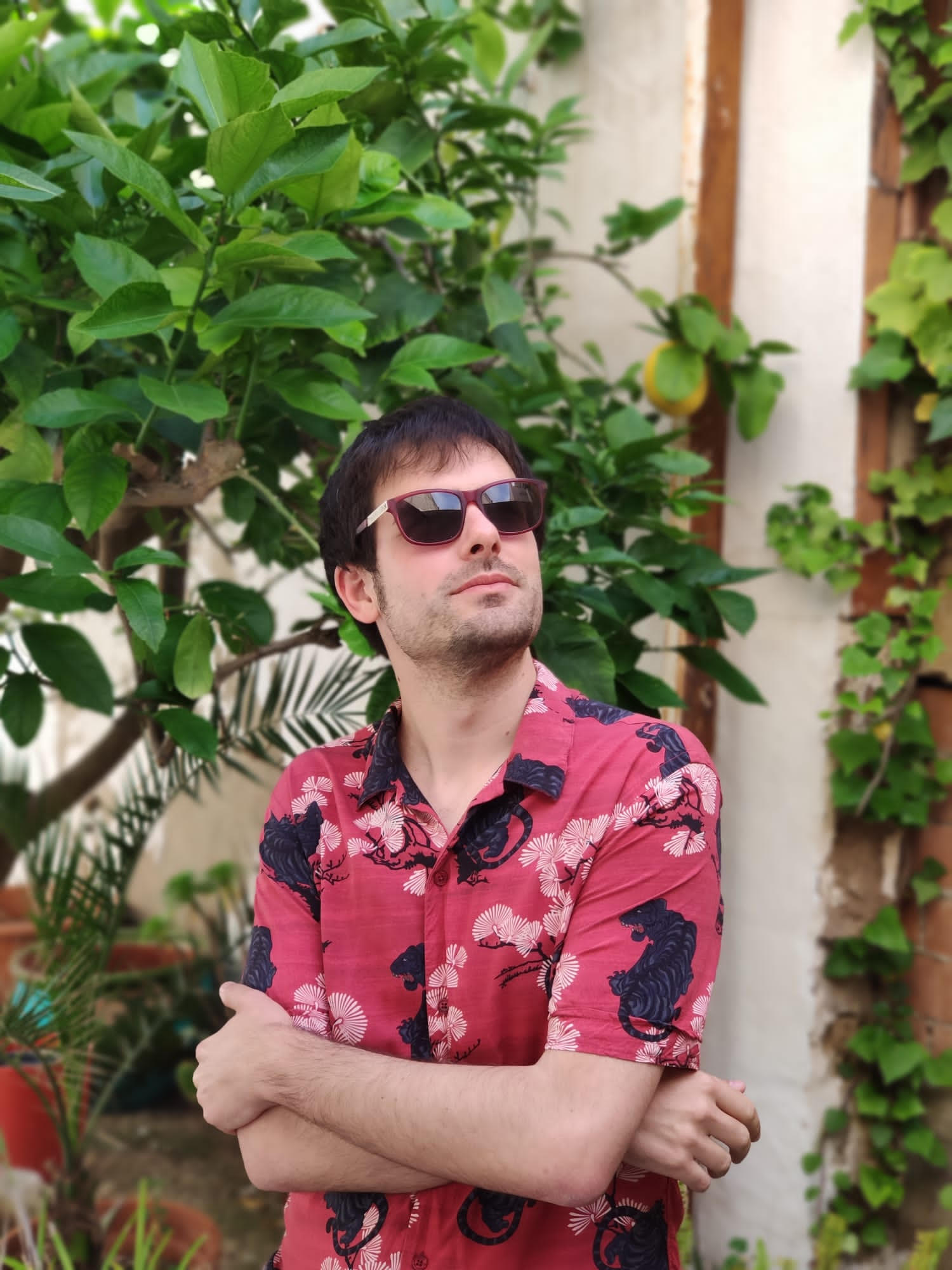 Albert Pijuan