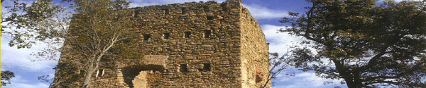 Hemeroteca de Sant Joan Les Fonts