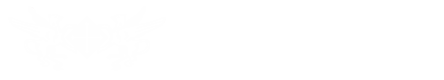 Biblioteca Lluïsa Duran