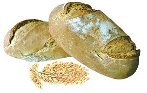 Blats, farines i pans
