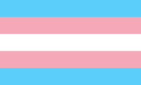 Amb mirada TRANS*formadora