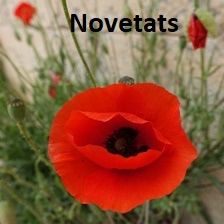 Novetats maig 2024 Caldes