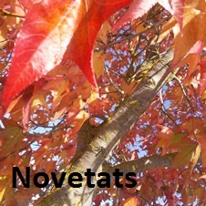 Novetats octubre 2024 Caldes